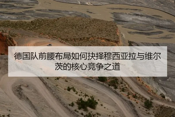 德国队前腰布局如何抉择穆西亚拉与维尔茨的核心竞争之道